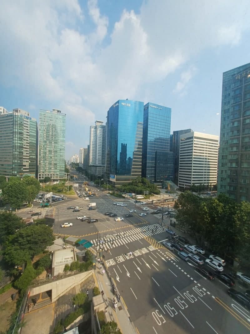 마포진짜원조최대포