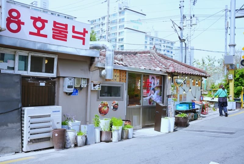용호불낙