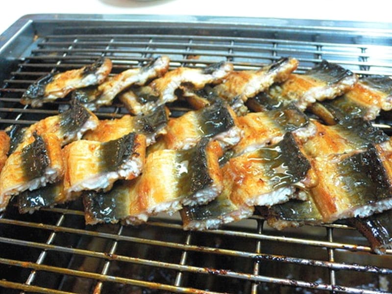 Namseoul Freshwater Eel